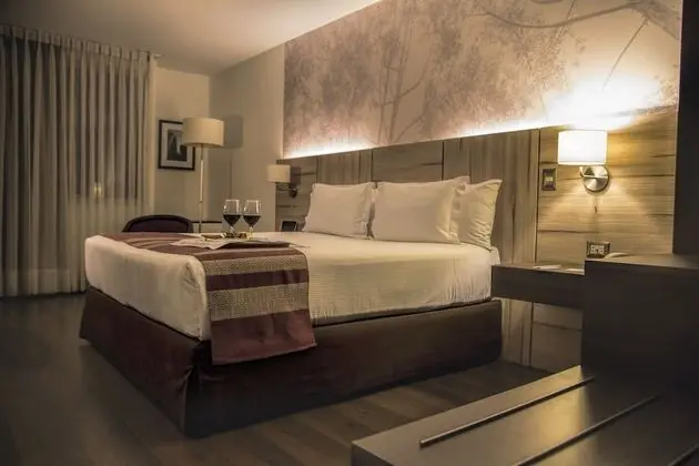 Premium Tek Büyük Yataklı Oda