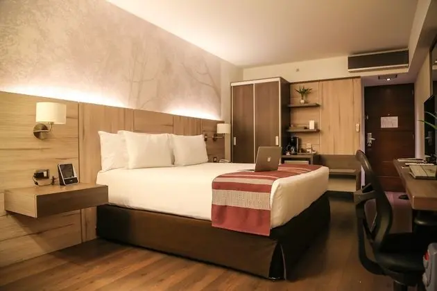 Premium Tek Büyük Yataklı Oda