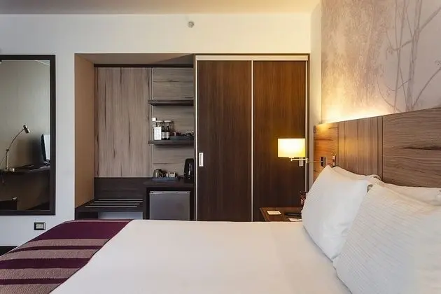 Premium Tek Büyük Yataklı Oda