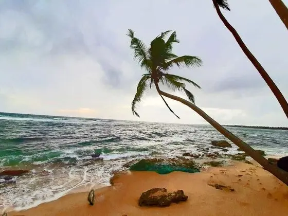 Deluxe Tek Büyük Yataklı Oda, 1 Çift Kişilik Yatak, Sigara İçilmez, Okyanus Manzaralı