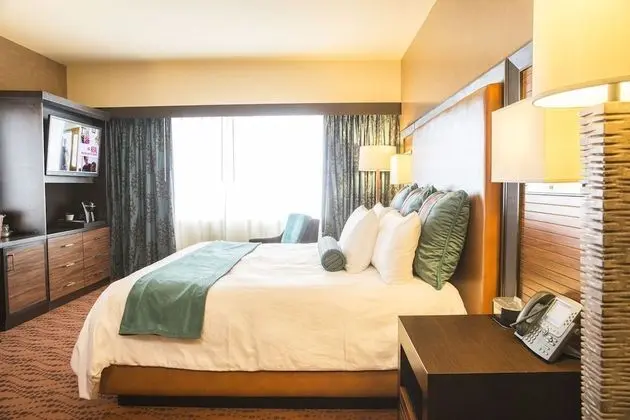 Deluxe Oda, 1 En Büyük (King) Boy Yatak