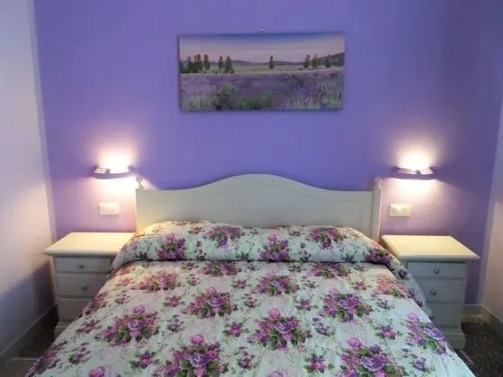 Superior Üç Kişilik Oda, 1 Yatak Odası, Şehir Manzaralı