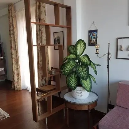 Romantic Tek Büyük Yataklı Oda (La Romantique)