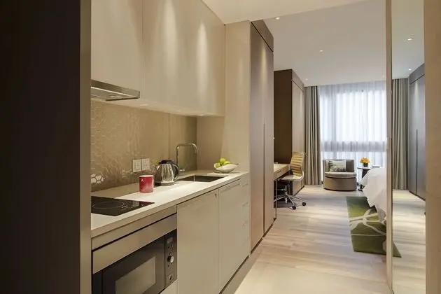 Stüdyo, 1 En Büyük (King) Boy Yatak, Şehir Manzaralı