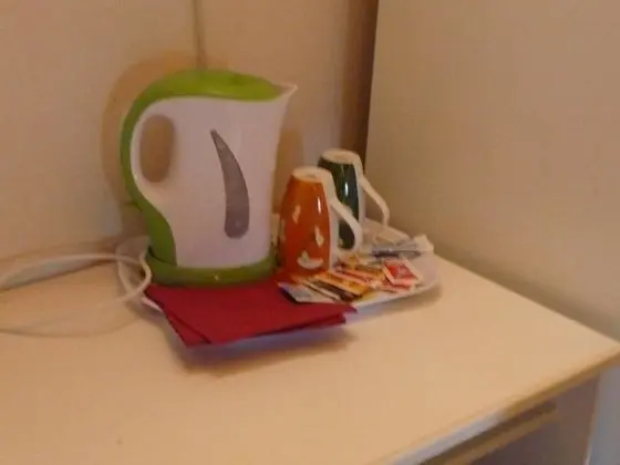 Tek Büyük veya İki Ayrı Yataklı Oda