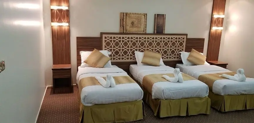 Deluxe Üç Kişilik Oda, 3 Tek Kişilik Yatak, Sigara İçilebilir, Şehir Manzaralı