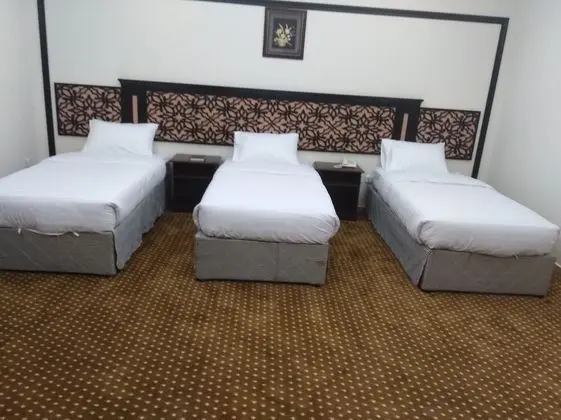 Deluxe Üç Kişilik Oda, 3 Tek Kişilik Yatak, Sigara İçilebilir, Şehir Manzaralı