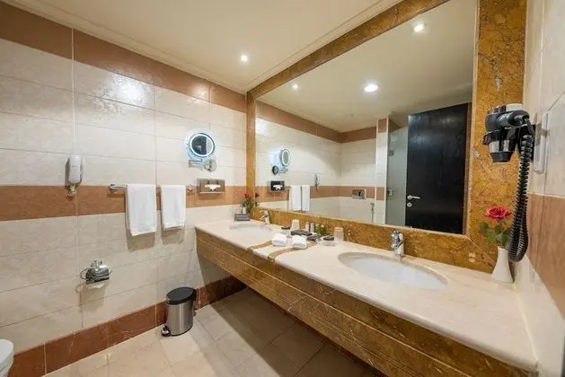 Executive Tek Büyük Yataklı Oda, Şehir Manzaralı