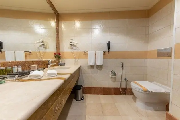 Executive Tek Büyük Yataklı Oda, Şehir Manzaralı