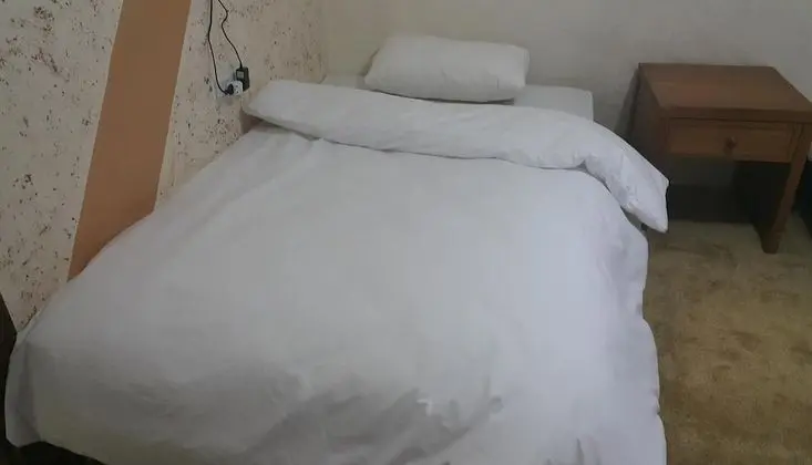 Basic Büyük Yataklı Tek Kişilik Oda, 1 Çift Kişilik Yatak, Şehir Manzaralı