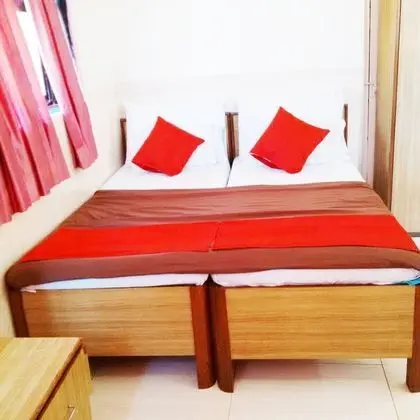 Deluxe Dört Kişilik Oda, 1 Yatak Odası, Şehir Manzaralı, Executive Katı