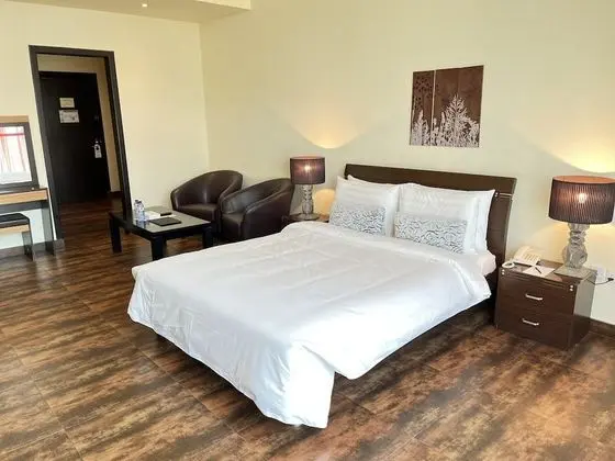Deluxe Stüdyo, 1 Büyük (Queen) Boy Yatak, Şehir Manzaralı
