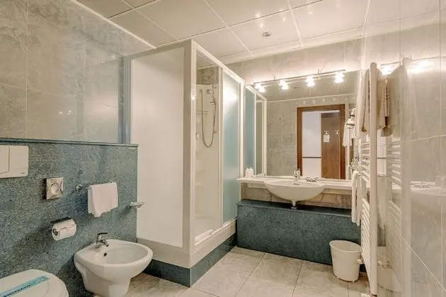 Deluxe Tek Büyük veya İki Ayrı Yataklı Oda