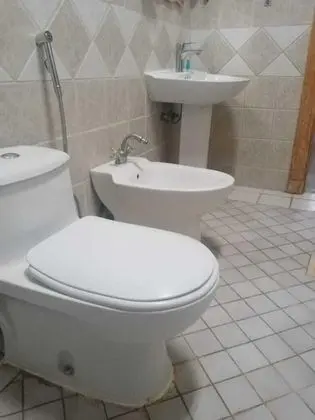 Basic Süit