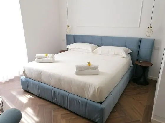 Superior Tek Büyük Yataklı Oda