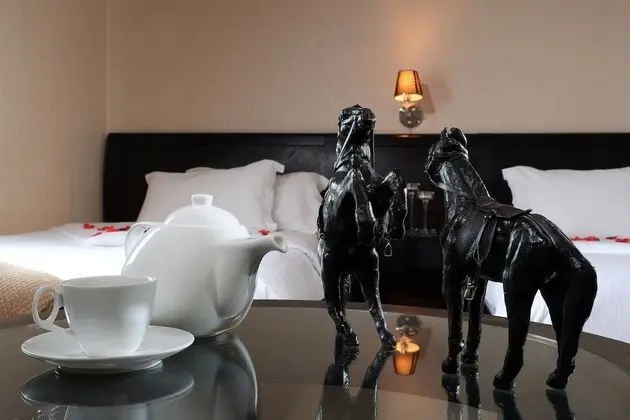 Deluxe Stüdyo, 2 Tek Kişilik Yatak, Sigara İçilebilir, Şehir Manzaralı