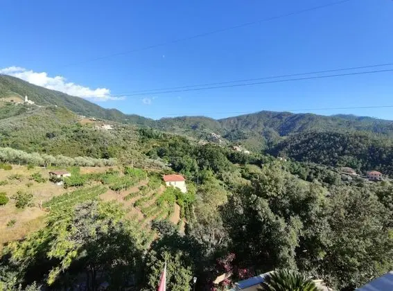 Superior Tek Büyük Yataklı Oda, Tepe Manzaralı