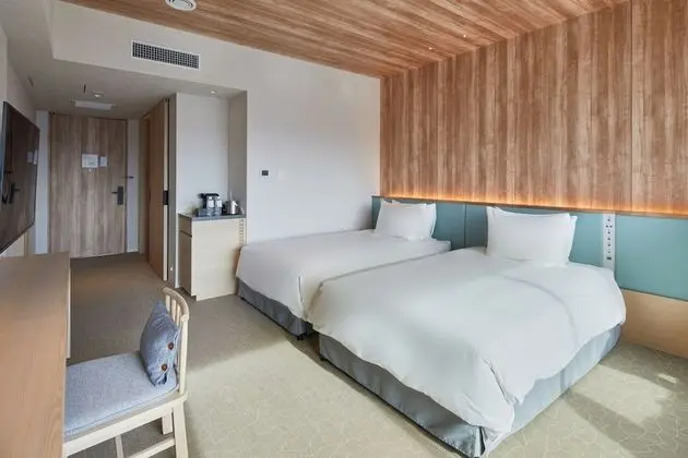 Deluxe Oda, Sigara İçilmez (Single Use)