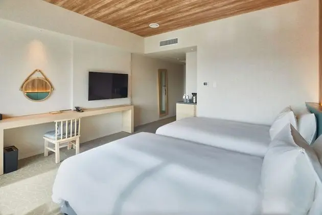 Deluxe Oda, Sigara İçilmez (Single Use)