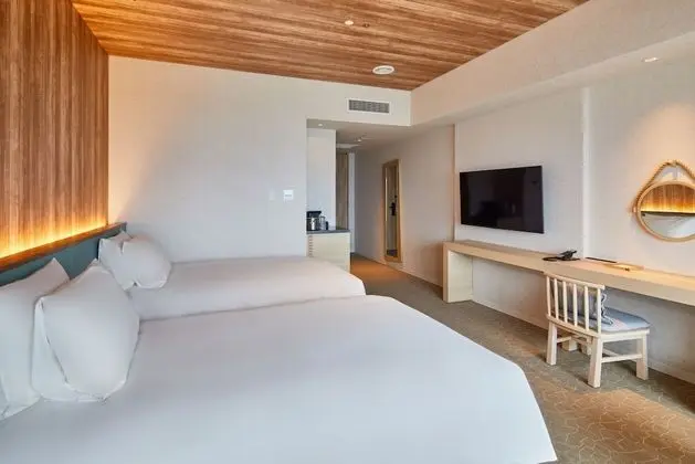 Deluxe Oda, Sigara İçilmez (Single Use)