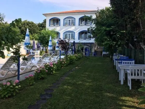 Standart Oda - Orman Manzaralı