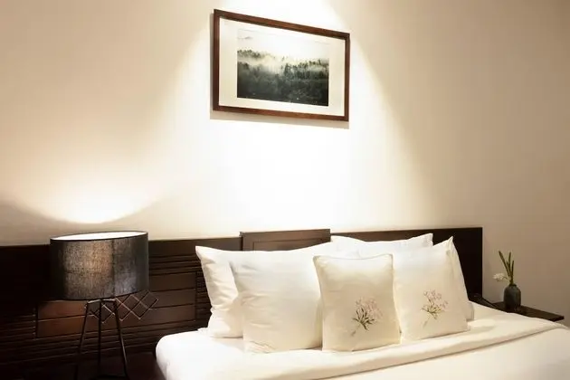 Deluxe Tek Büyük Yataklı Oda, Penceresiz