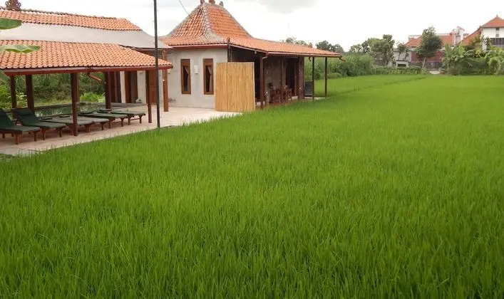 Family Villa, 2 Yatak Odası, Dağ Manzaralı, Havuz Kenarı