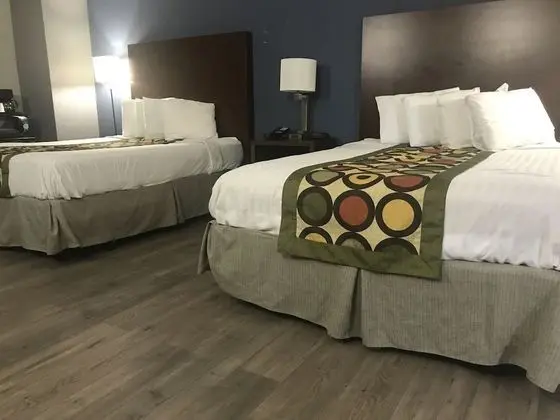 Deluxe Süit, 2 Çift Kişilik Yatak