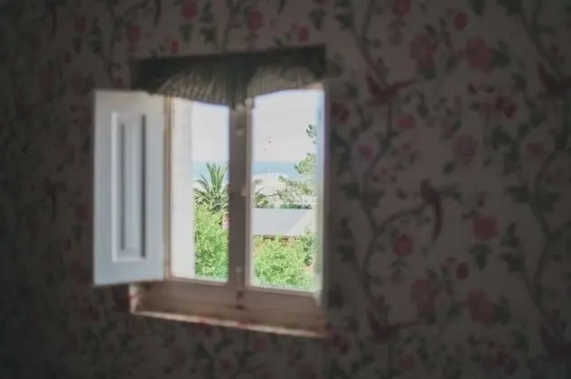 Ortak Ranzalı Oda, Karma Ranzalı Oda (1 bed in a 4-Bed Dormitory Room)