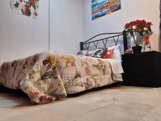 Standard Tek Büyük Yataklı Oda, 1 Büyük (Queen) Boy Yatak, Ortak Banyo
