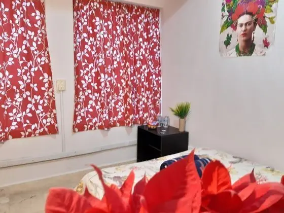 Standard Tek Büyük Yataklı Oda, 1 Büyük (Queen) Boy Yatak, Ortak Banyo