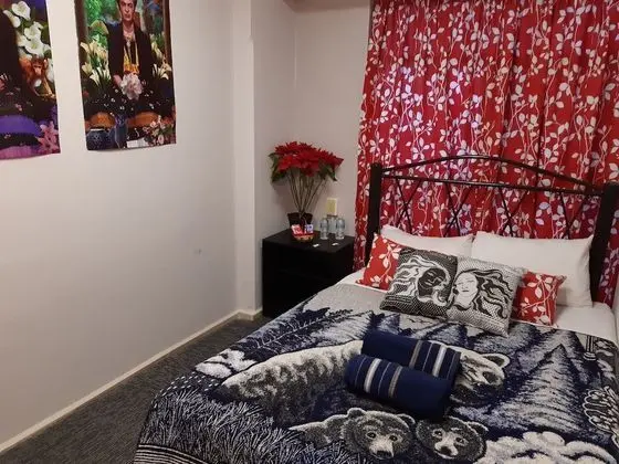 Standard Tek Büyük Yataklı Oda, 1 Büyük (Queen) Boy Yatak, Ortak Banyo