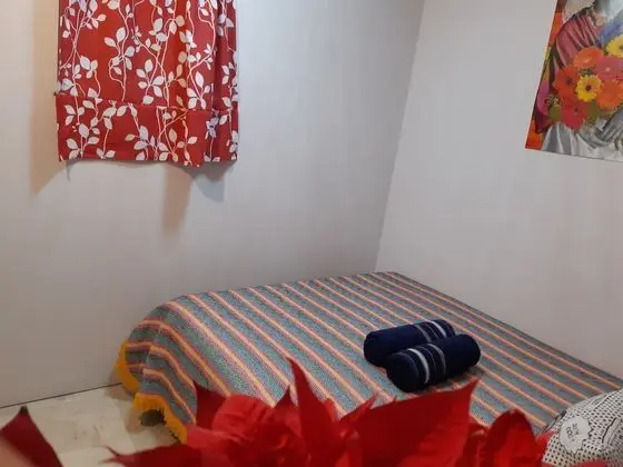 Standard Tek Büyük Yataklı Oda, 1 Büyük (Queen) Boy Yatak, Ortak Banyo