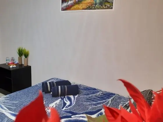 Standard Tek Büyük Yataklı Oda, 1 Büyük (Queen) Boy Yatak, Ortak Banyo