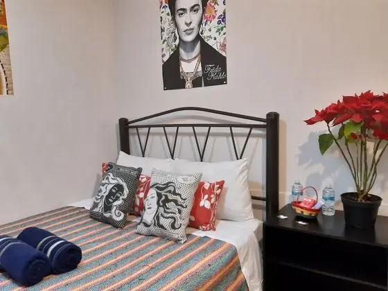 Standard Tek Büyük Yataklı Oda, 1 Büyük (Queen) Boy Yatak, Ortak Banyo