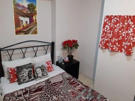 Standard Tek Büyük Yataklı Oda, 1 Büyük (Queen) Boy Yatak, Ortak Banyo