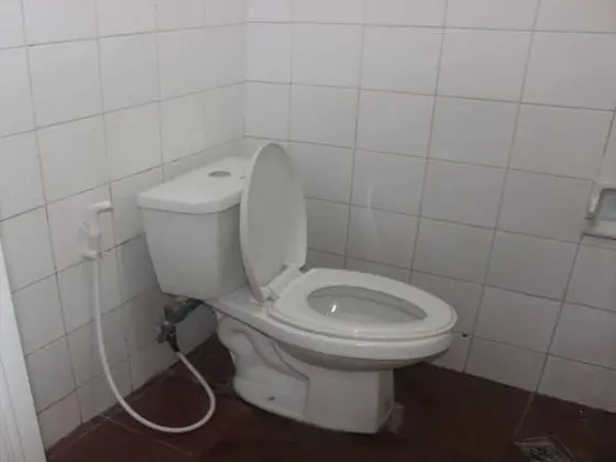 Standard Oda