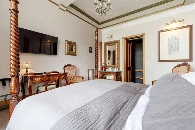 Superior Tek Büyük Yataklı Oda, Banyolu/Duşlu, Park Manzaralı (Room 1)