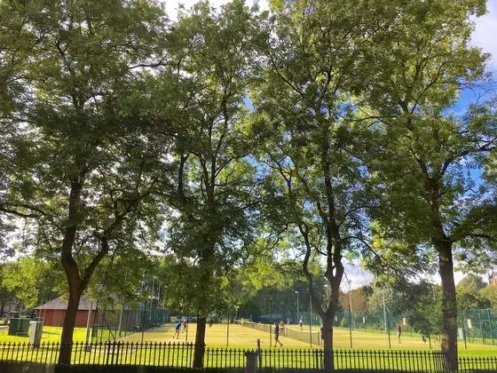 Superior Tek Büyük Yataklı Oda, Banyolu/Duşlu, Park Manzaralı (Room 1)