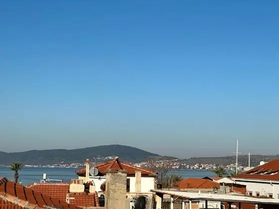 Standart oda