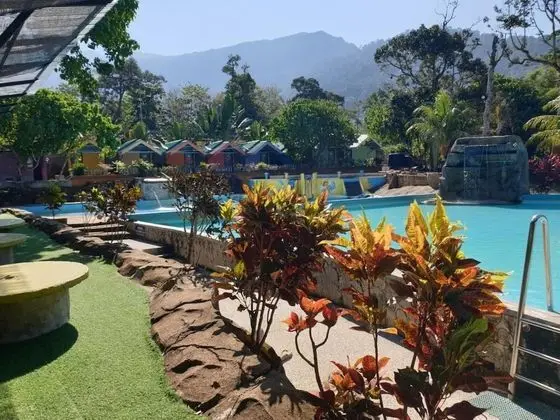 Standard Oda, Havuz Manzaralı