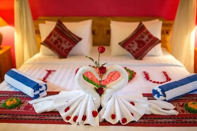 Deluxe Tek Büyük veya İki Ayrı Yataklı Oda, 1 Yatak Odası, Bahçe Manzaralı, Bahçeli
