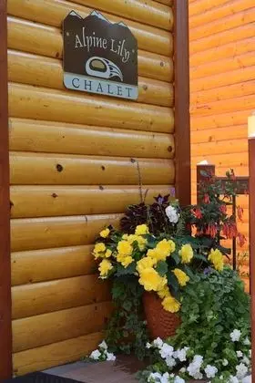 Superior Dağ Evi, 2 Yatak Odası