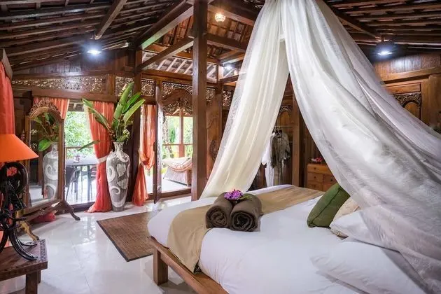 Two Bedroom  Deluxe Suite with Rainforest View