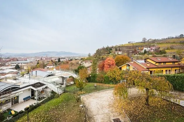 Panoramic Çatı Katı Süiti (Penthouse), Üzüm Asması Manzaralı