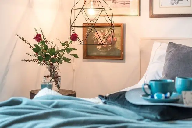 Panoramic Çatı Katı Süiti (Penthouse), Üzüm Asması Manzaralı