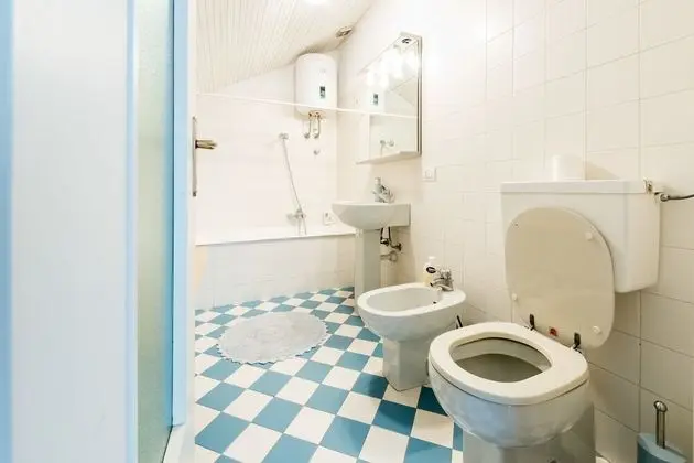 Panoramic Çatı Katı Süiti (Penthouse), Üzüm Asması Manzaralı