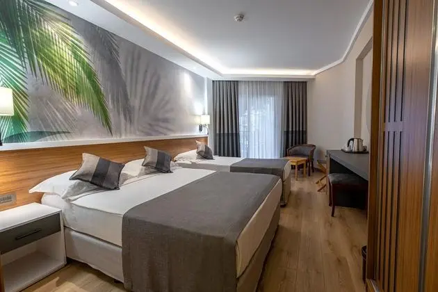 https://images.etstur.com/files/images/hotelImages/TR/50660/l/Alba-Resort-Hotel-Oda-355477.jpg