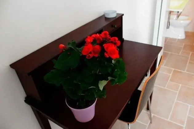 Standard Tek Büyük veya İki Ayrı Yataklı Oda, Zemin Kat