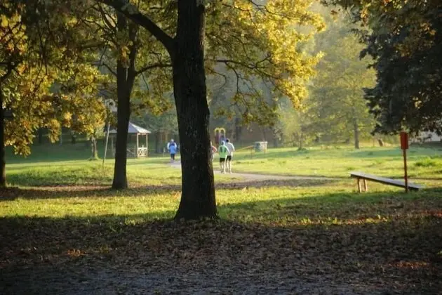 Oda, 1 Yatak Odası, Engellilere Uygun, Veranda